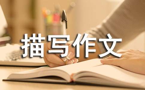 秋雨的描寫(xiě)作文100字（通用40篇）