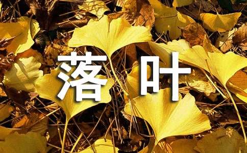 清秋落葉時(shí)作文