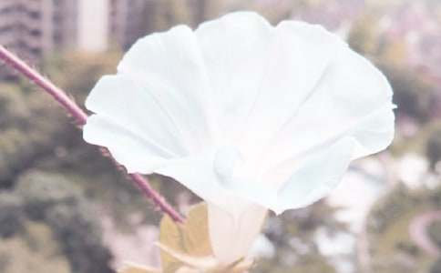以牽?；椴牧系淖魑?/><span style=