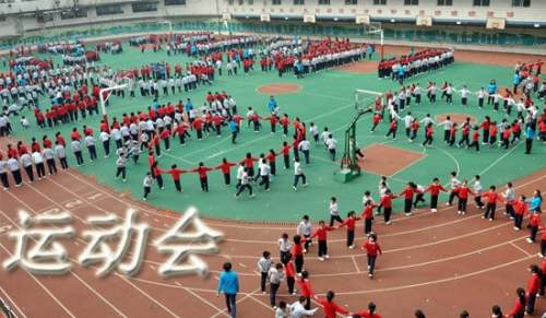 關(guān)于運動會的作文（精選15篇）