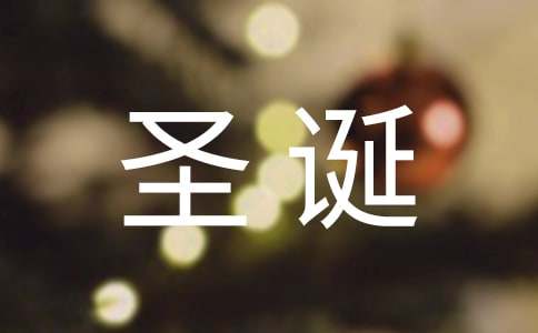 六年級學生圣誕節(jié)作文
