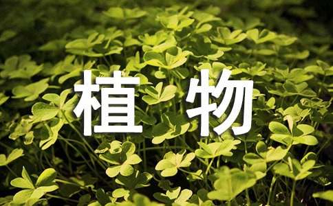 描寫(xiě)植物的擬人句150句