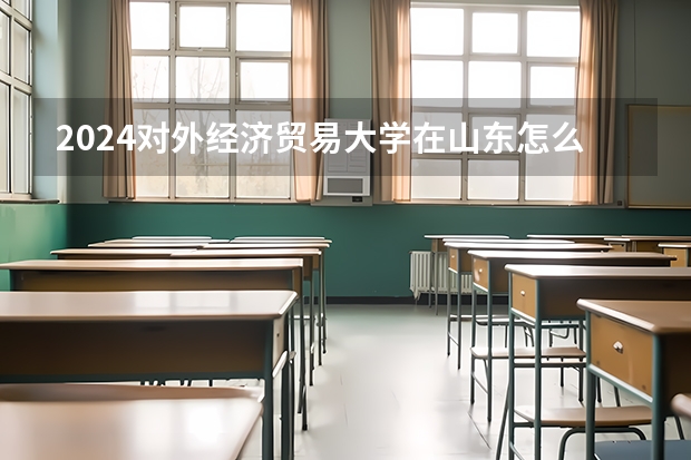 2024對外經(jīng)濟(jì)貿(mào)易大學(xué)在山東怎么招生