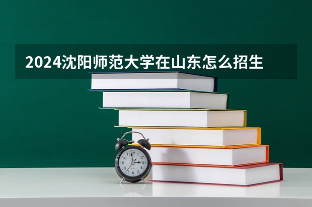2024沈陽師范大學(xué)在山東怎么招生