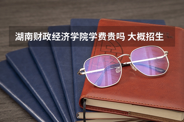 湖南財(cái)政經(jīng)濟(jì)學(xué)院學(xué)費(fèi)貴嗎 大概招生多少人