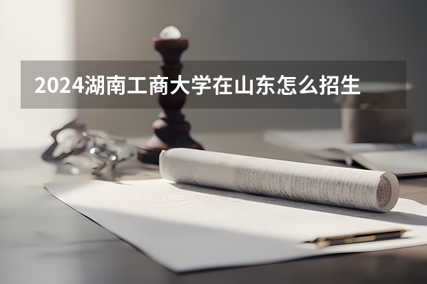 2024湖南工商大學在山東怎么招生