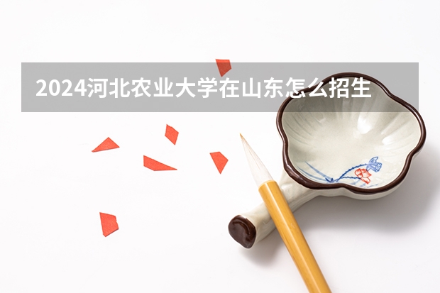 2024河北農(nóng)業(yè)大學在山東怎么招生