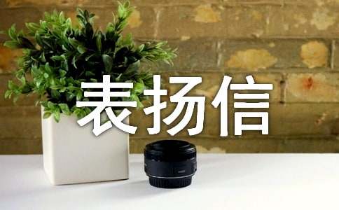 寫(xiě)給企業(yè)的表?yè)P(yáng)信