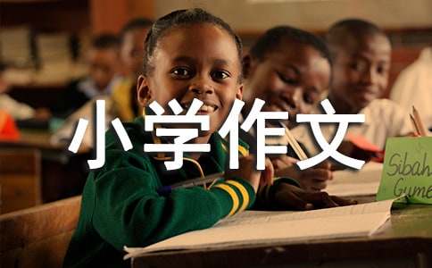暑假見聞小學作文（精選37篇）
