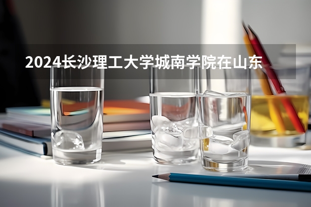 2024長(zhǎng)沙理工大學(xué)城南學(xué)院在山東怎么招生