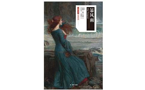 以暴風(fēng)雨為話題的作文700字（通用26篇）