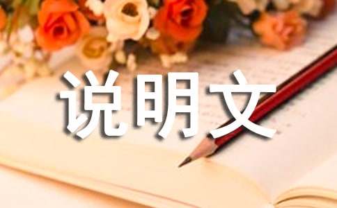 動物說明文500字（精選37篇）