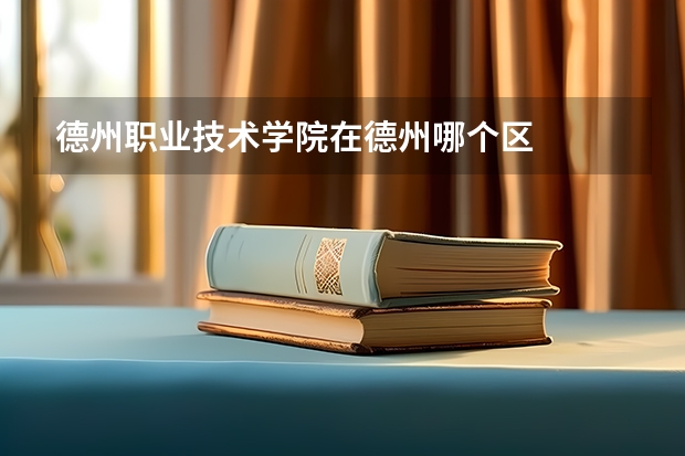 德州職業(yè)技術(shù)學(xué)院在德州哪個(gè)區(qū)