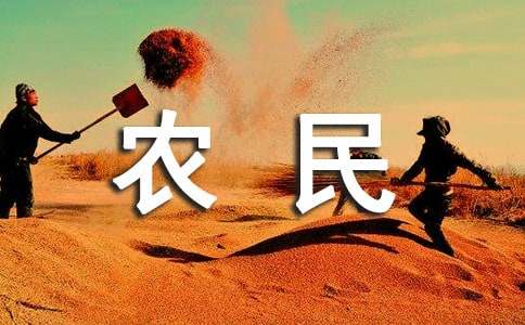 農民外出務工情況調查報告
