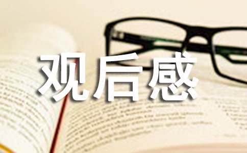 抗戰(zhàn)片《狩獵者》觀后感（精選13篇）