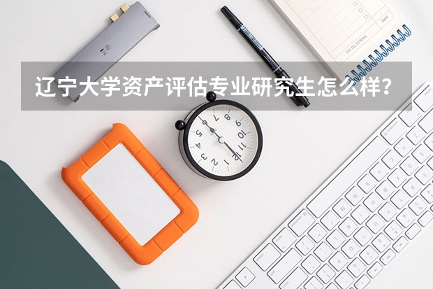 遼寧大學(xué)資產(chǎn)評(píng)估專業(yè)研究生怎么樣？