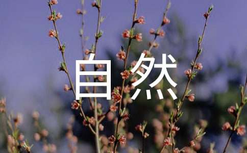 贊美自然的優(yōu)美句子200句