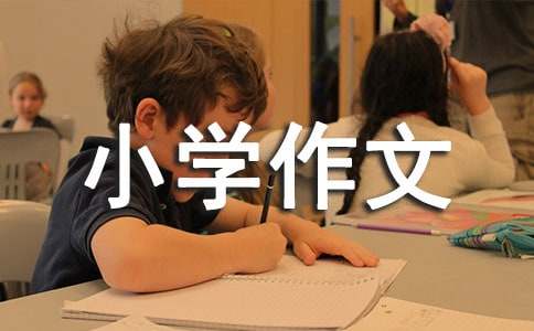 關(guān)于上學(xué)路上的小學(xué)作文（通用40篇）