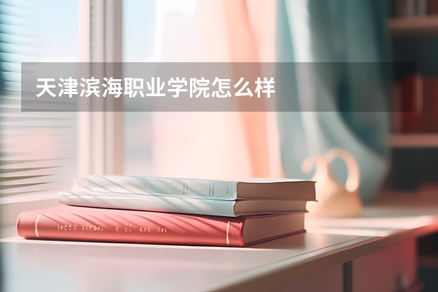 天津?yàn)I海職業(yè)學(xué)院怎么樣