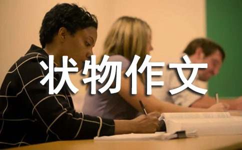 我心愛(ài)的書包狀物作文400字（通用28篇）