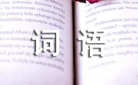 詞語(yǔ)敏銳的造句（精選140句）