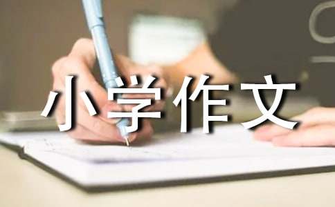 小學(xué)作文寫得好的評語300句
