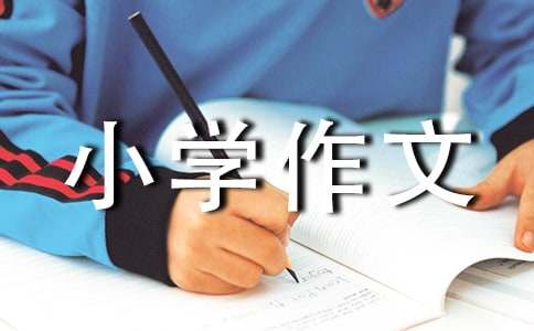 老爸真博學小學作文（精選12篇）