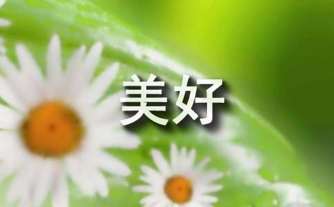 美好的21世紀(jì)說(shuō)明文作文（精選15篇）