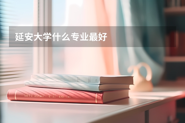 延安大學(xué)什么專業(yè)最好
