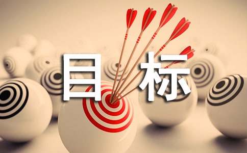 工作計劃及目標(biāo)