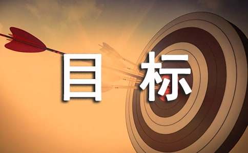 工作計(jì)劃及發(fā)展目標(biāo)