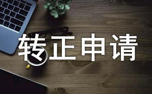 安保隊(duì)長轉(zhuǎn)正申請(qǐng)書（精選11篇）