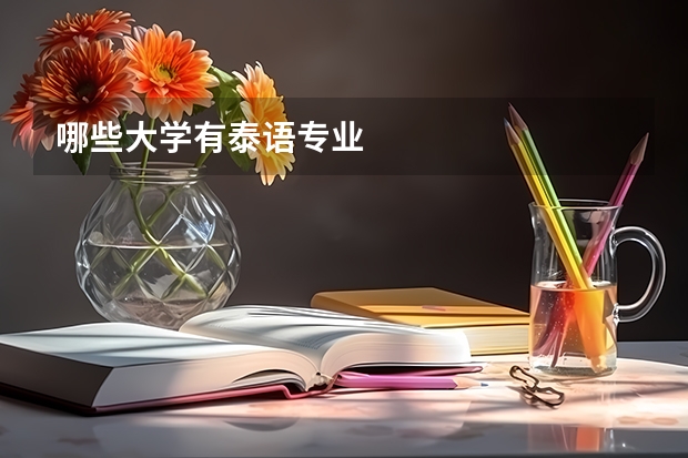 哪些大學有泰語專業(yè)