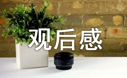 《焦點(diǎn)訪談》央視節(jié)目觀后感范文（精選11篇）