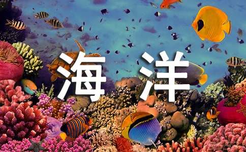 [優(yōu)選]保護(hù)海洋的作文600字