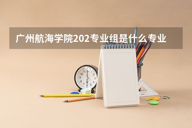廣州航海學院202專業(yè)組是什么專業(yè)