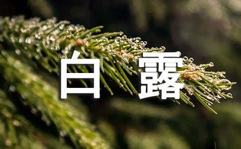 送朋友的白露快樂(lè)的句子180句