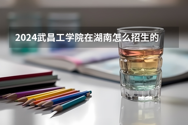 2024武昌工學(xué)院在湖南怎么招生的