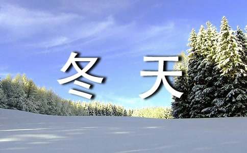 小學(xué)二年級(jí)冬天的景色的作文（精選29篇）