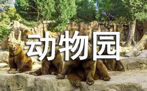 從動(dòng)物園里跑出來(lái)的小猴子哲理故事