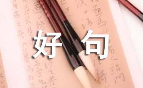 描寫情感的好句子480句