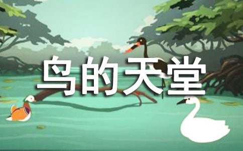五年級上冊語文《鳥的天堂》教學(xué)設(shè)計（通用10篇）