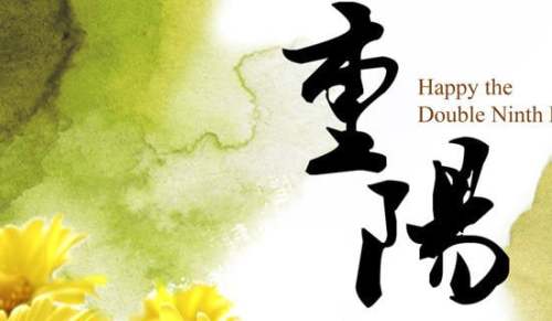 重陽節(jié)六年級(jí)作文