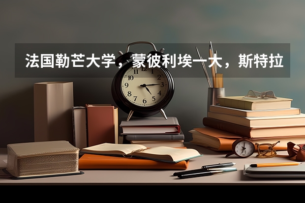 法國勒芒大學，蒙彼利埃一大，斯特拉斯堡大學，貝桑松大學的經(jīng)濟類專業(yè)如何？