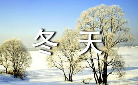 點(diǎn)燃一個(gè)冬天的作文（通用17篇）