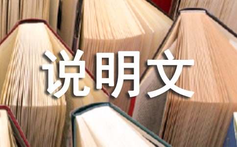 關(guān)于鋼筆的說明文（通用40篇）