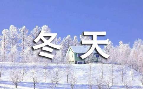 二年級(jí)美麗的冬天的作文300字（精選26篇）