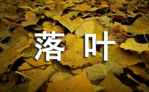 關(guān)于描寫落葉的排比句