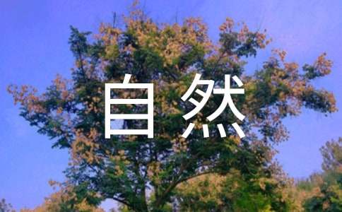 描寫大自然景物的優(yōu)美段落（精選500句）