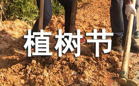 植樹節(jié)活動(dòng)作文【匯總2篇】